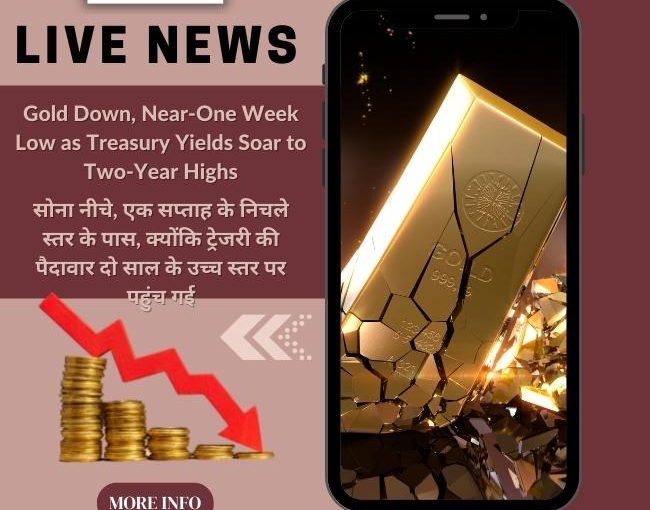 TODAYS LIVE MCX GOLD NEWS UPDATE BY HECTOR COMMODITY. [C/W:-8439677004]