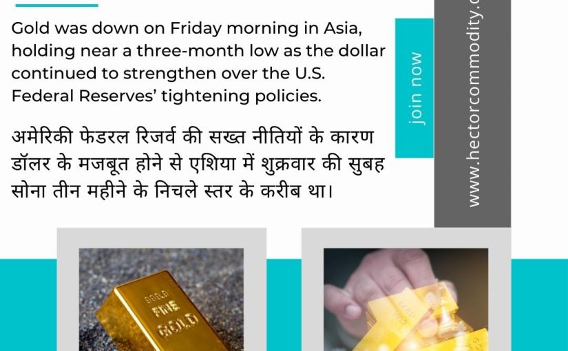 TODAY’S LIVE MCX GOLD NEWS UPDATE BY HECTOR COMMODITY (C/W:-8439677004/8755878899)