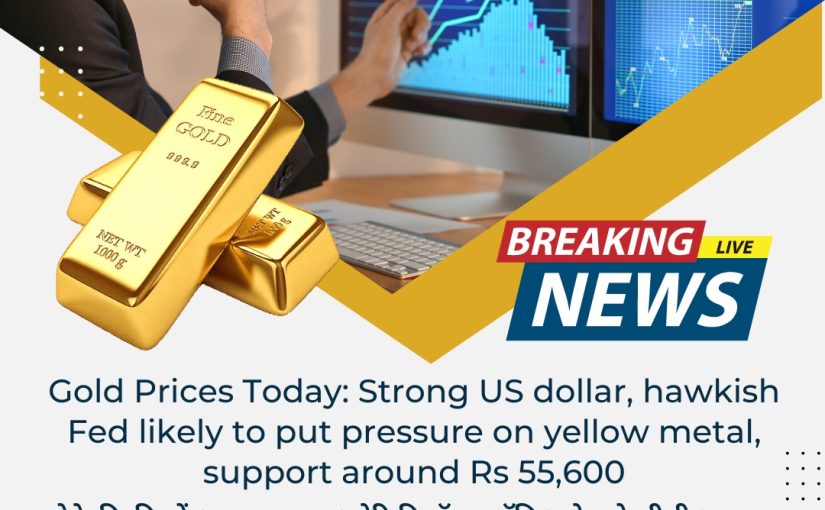 Gold Prices Today: Strong US dollar, hawkish Fed likely to put pressure on yellow metal, support around Rs 55,600 UPDATE BY www.hectorcommodity.com (CALL: 8439677004/ 8755878899)