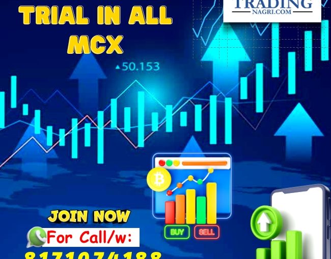 Get One Day Free Demo In All Mcx, Book Fast www.tradingnagri.com